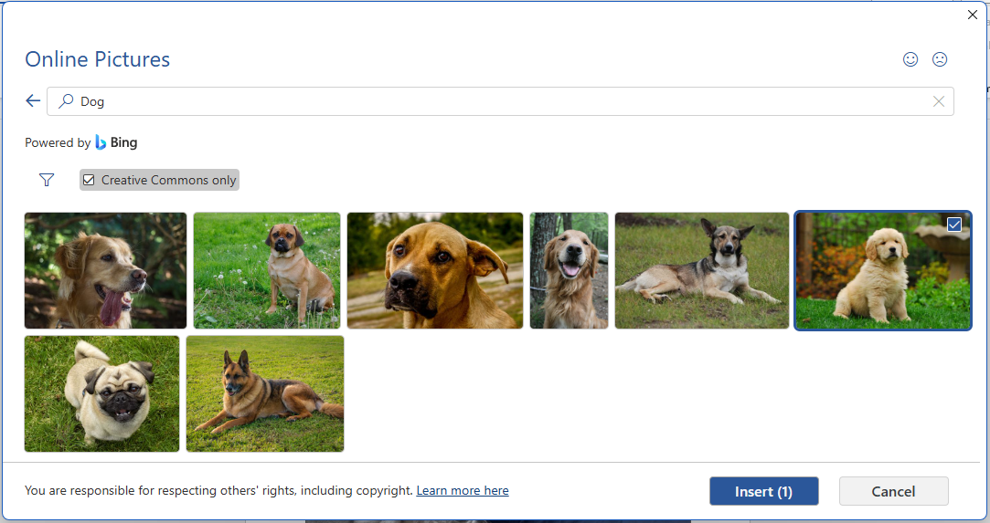 Online Pictures gallery in Word